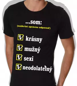 Pánske tričko - som krásny, mužný, sexi, neodolateľný