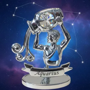 Postriebrené znamenie zverokruhu – Vodnár